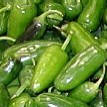 We sell the HOT variety of Jalapeno chile's