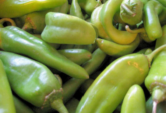 We have the freshest hatch chile you can get in California