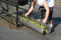 Roasted Chile in catch basin