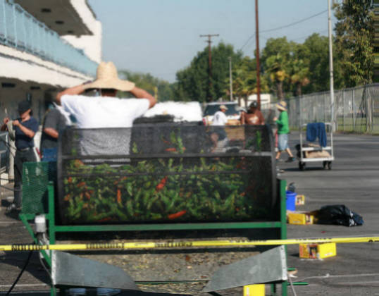 One of EL Rey Farms roasting machines, we have 14