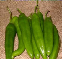 Mild Hatch chile, with little to no heat.